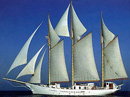 Blue Clipper