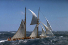 Falken och Gladan